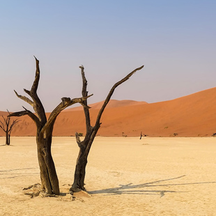 Cambio climático. ¿Sabes lo suficiente?