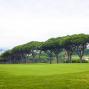 Botar en zona - KO Chipping. 