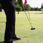 Putt de palmas. 