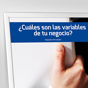 Ejercicio: ¿Cuáles son las variables de tu negocio?
