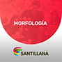 Morfología. 