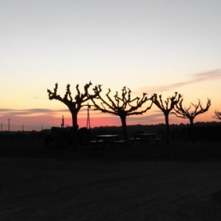 INDICADORES DE TURISMO SOSTENIBLE. UNA INTRODUCCIÓN APLICADA. 